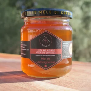 Miel de Chataigneraie de printemps - 250g