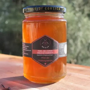 Miel de Chataigneraie de printemps - 400g