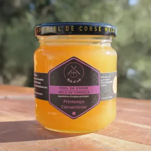 Miel de printemps Clémentinier - 250g